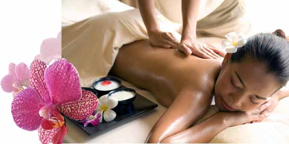 olie massage, Glorie Mai Thai Massage, Ringsted
